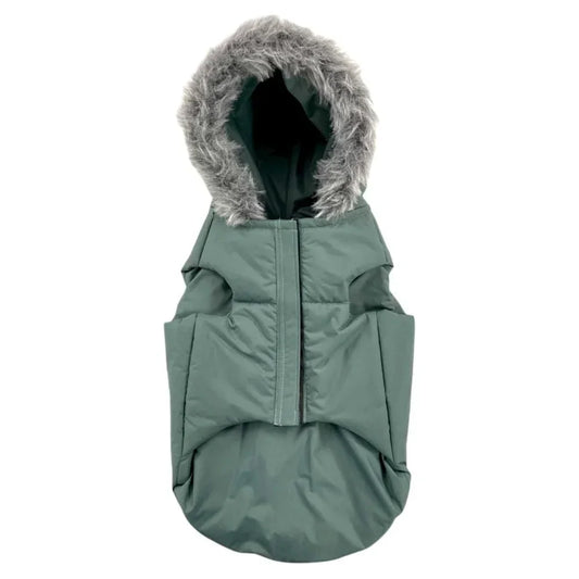 Buy Now: The Perfect Jackets and Coats to Keep Your Dog Snug