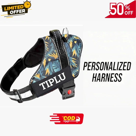 Custom Dog Harness Adjustable Neck Strip & Chest Strip Dog Harness