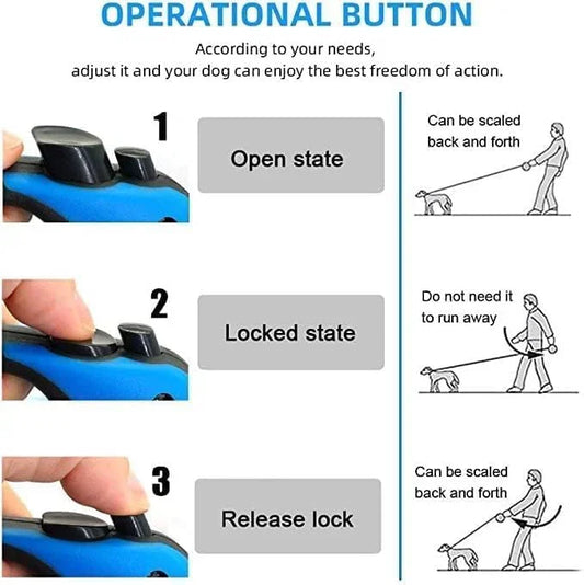 Automatic Retractable Nylon Cat Lead Extension Puppy Walking Running Lead Roulette for Dogs Pet Durable Dog Leash (5 M)