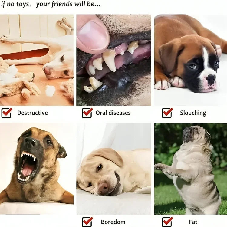 Durable Rope Chewing Toys for Dogs, Dog Toy, Pet Toys, Pack of 6