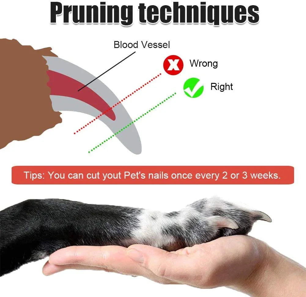 Dog Nail Cutter Clipper And Filer,Claw & Nails Clippers Grinder Grooming Trimmer For Small, Medium, Large Dogs And Cats.