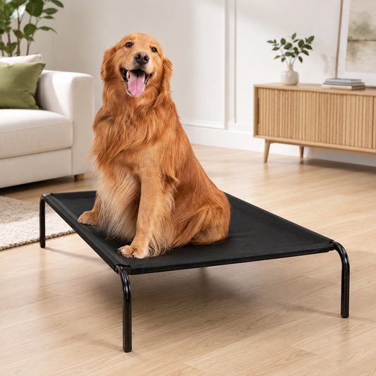 Premium Elevated Dog Bed – All Black Breathable Pet Cot for Indoor & Outdoor Comfort