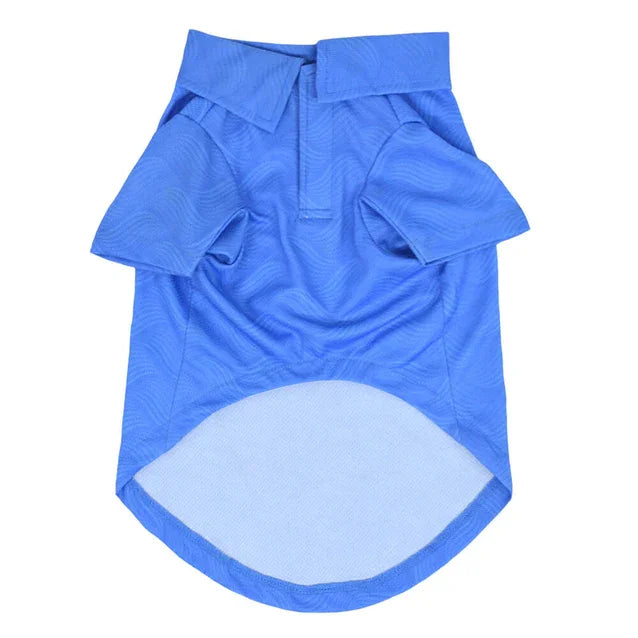 IPL Paw-fection: Stylish Pet Jerseys for Cricket Fans