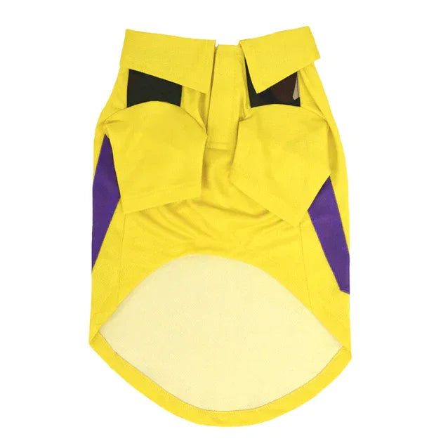 IPL Paw-fection: Stylish Pet Jerseys for Cricket Fans