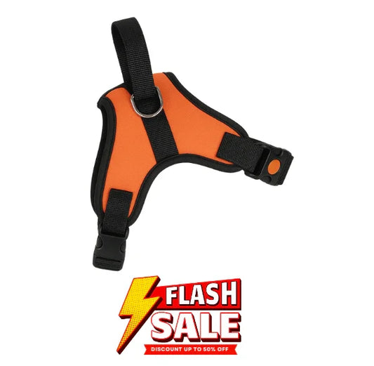 Dog Body Belt Harness Adjustable Neck Strip & Chest Strip Dog Harness (Orange)