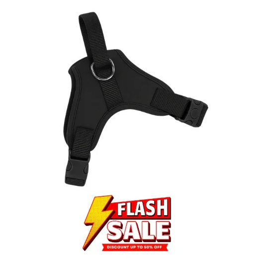 Dog Body Belt Harness Adjustable Neck Strip & Chest Strip Dog Harness (Black)