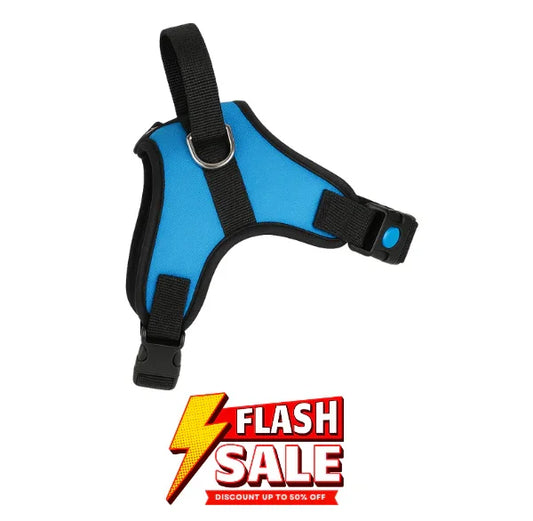 Dog Body Belt Harness Adjustable Neck Strip & Chest Strip Dog Harness (Blue)