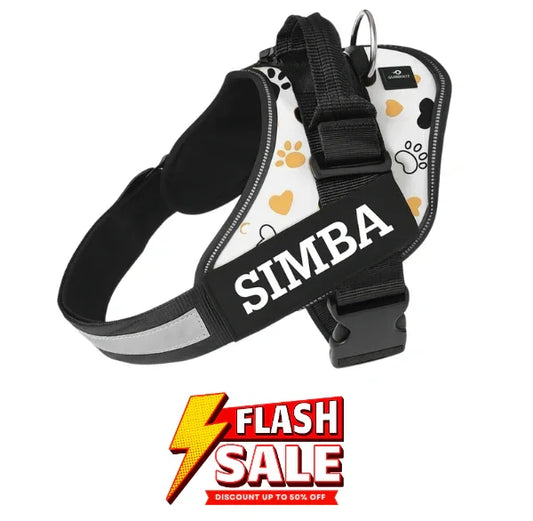 Custom Dog Harness Adjustable Neck Strip & Chest Strip Dog Harness (White)