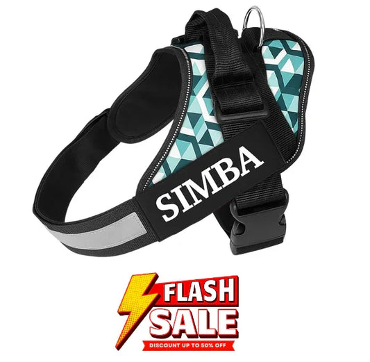 Custom Dog Harness Adjustable Neck Strip & Chest Strip Dog Harness (3D Cube)