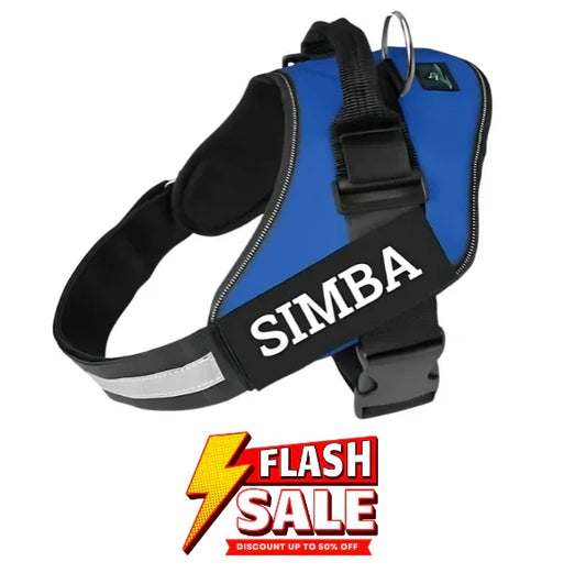 Custom Dog Harness Adjustable Neck Strip & Chest Strip Dog Harness (Blue)