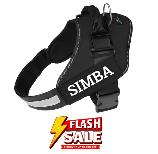 Custom Dog Harness Adjustable Neck Strip & Chest Strip Dog Harness (Black)