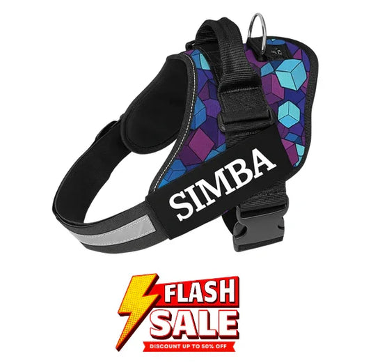 Custom Dog Harness Adjustable Neck Strip & Chest Strip Dog Harness (Diamond Blue)