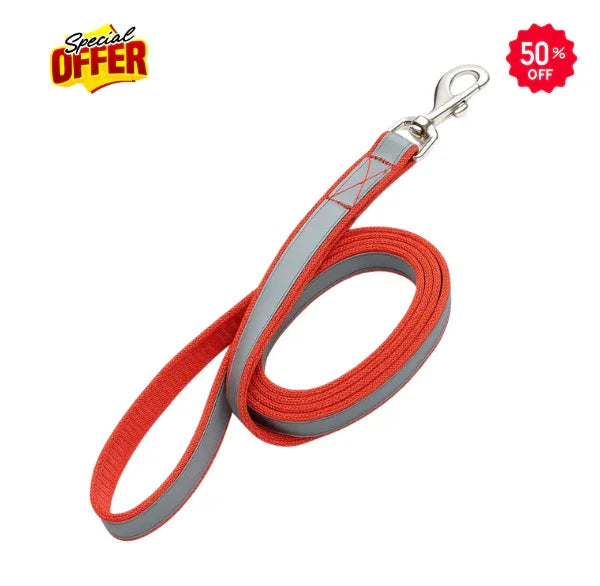 Dog Reflective Leash (Red)