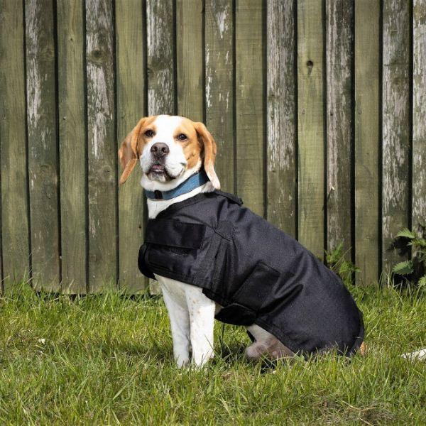 Dog Rain Coat
