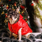 Buy Now: The Perfect Jackets and Coats to Keep Your Dog Snug