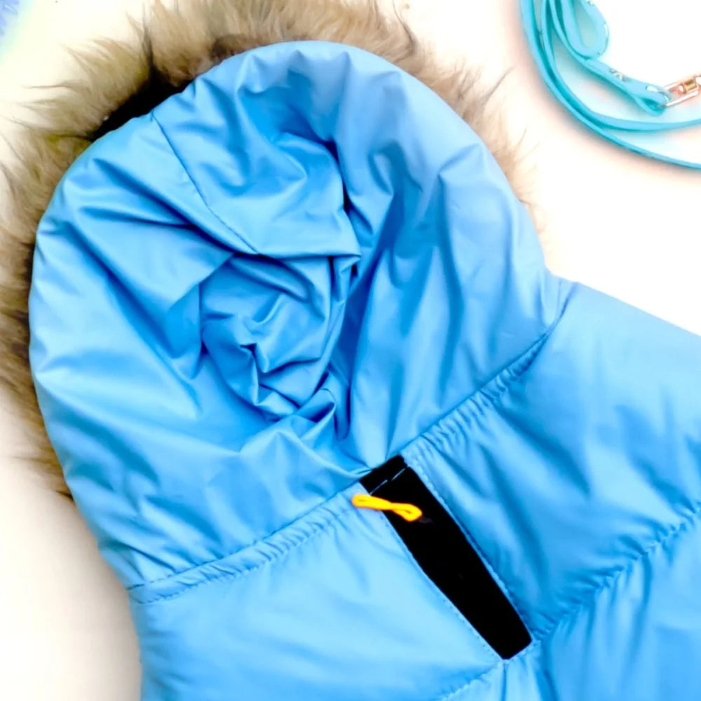 Buy Now: The Perfect Jackets and Coats to Keep Your Dog Snug