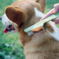 Dog & Cat Flea Comb – Stainless Steel Tick & Lice Grooming Tool for All Coats