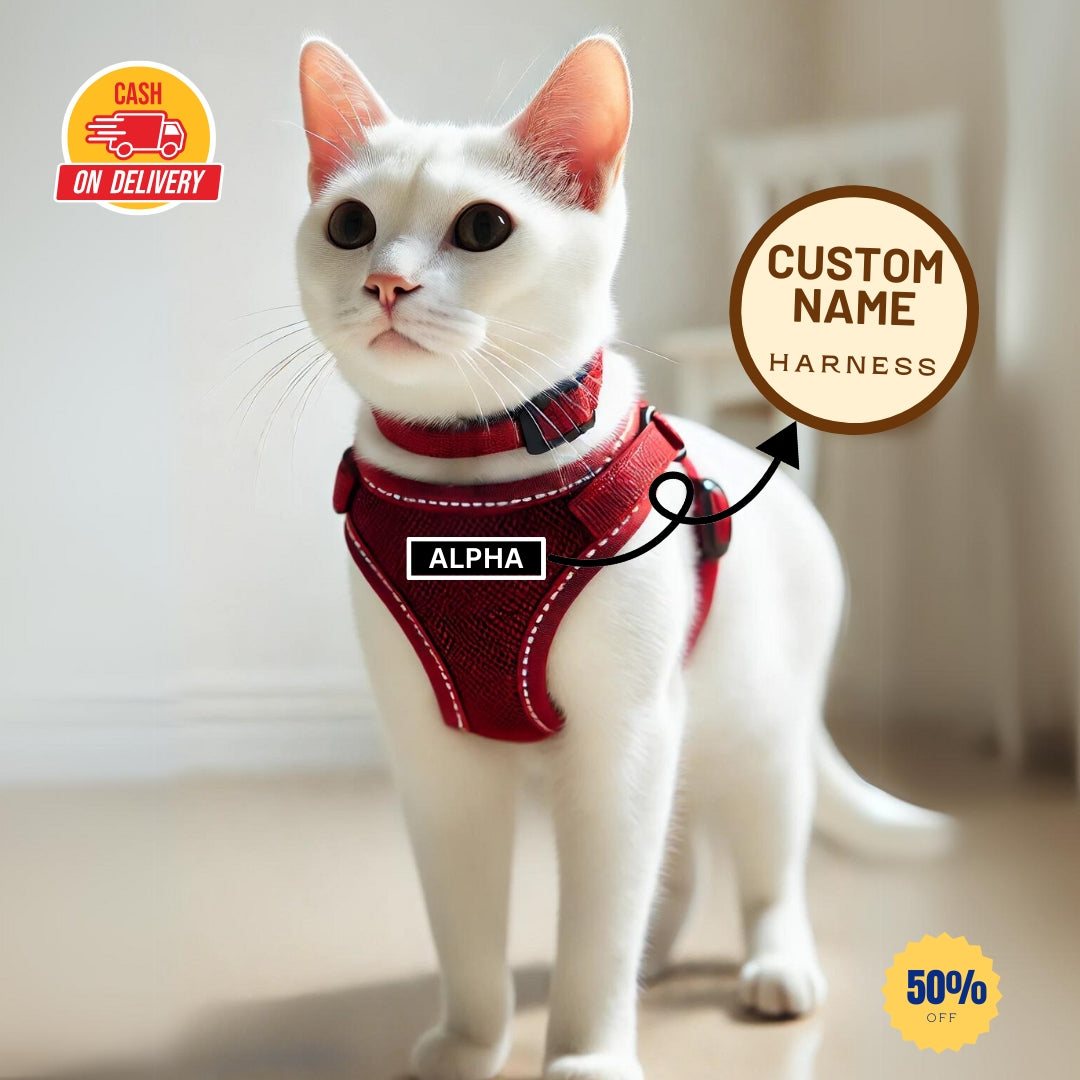 Custom Cat Harness Adjustable Neck Strip & Chest Strip Cat Harness