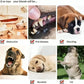 Durable Rope Chewing Toys for Dogs, Dog Toy, Pet Toys, Pack of 6