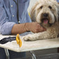 Pet Grooming De-shedding Tool Brush For Dogs, Cats and Rabbits| Dog De-Shedding Comb For Short, Medium, And Long Hair All Breeds