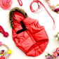 Buy Now: The Perfect Jackets and Coats to Keep Your Dog Snug