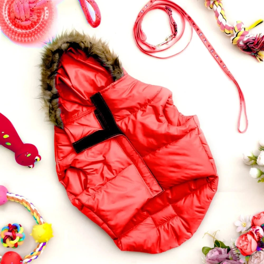 Buy Now: The Perfect Jackets and Coats to Keep Your Dog Snug