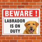 Beware of Dog Entry Sign – Rust-Free Outdoor Board