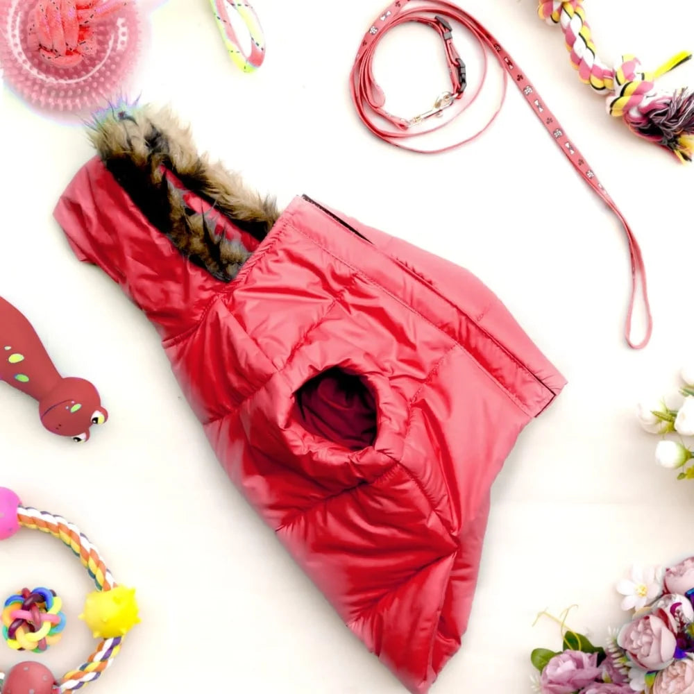 Buy Now: The Perfect Jackets and Coats to Keep Your Dog Snug
