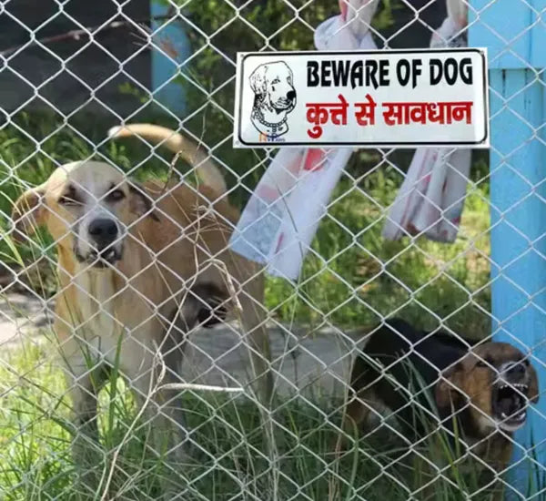 Beware of Dog Entry Sign – Rust-Free Outdoor Board