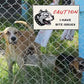 Beware of Dog Entry Sign – Rust-Free Outdoor Board