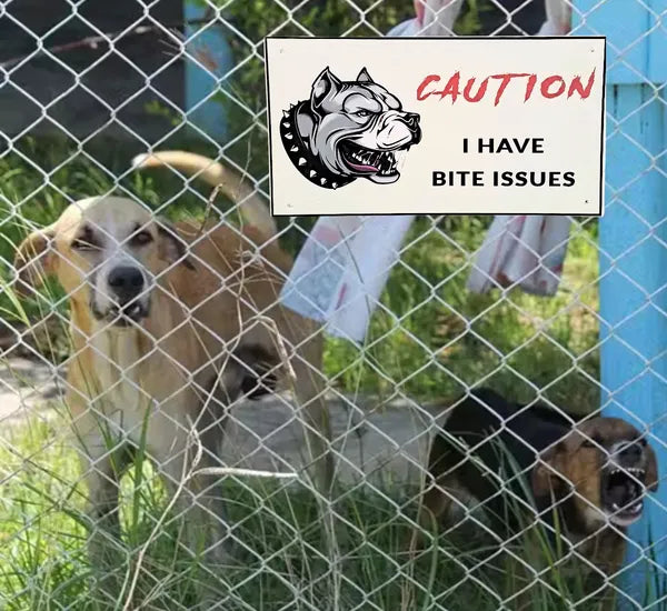 Beware of Dog Entry Sign – Rust-Free Outdoor Board