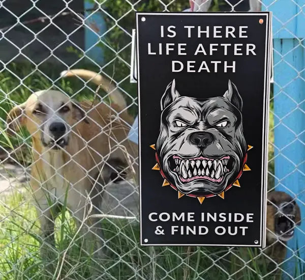 Beware of Dog Entry Sign – Rust-Free Outdoor Board