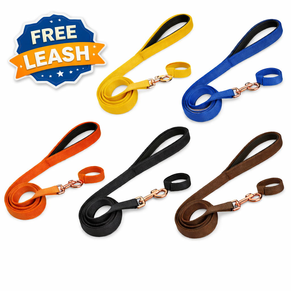 Custom Dog Harness + Free Leash Adjustable Neck Strip & Chest Strip Dog Harness (3D Cube)