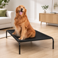Premium Elevated Dog Bed – All Black Breathable Pet Cot for Indoor & Outdoor Comfort