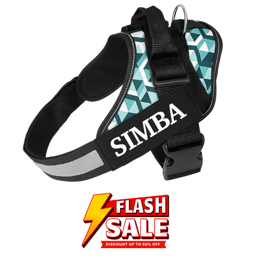 Custom Dog Harness Adjustable Neck Strip & Chest Strip Dog Harness (3D Cube)
