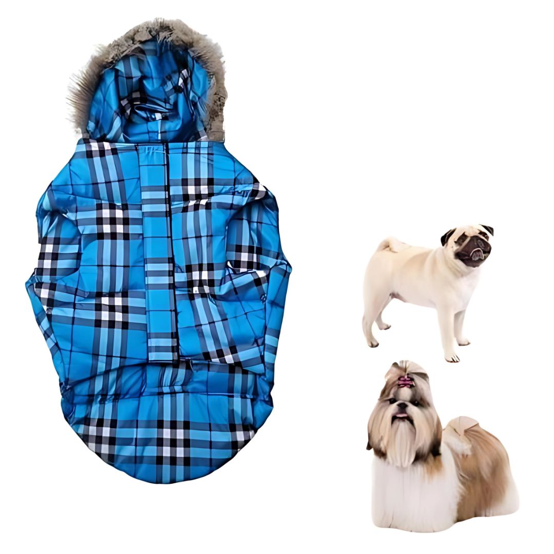 Buy Now: The Perfect Jackets and Coats to Keep Your Dog Snug
