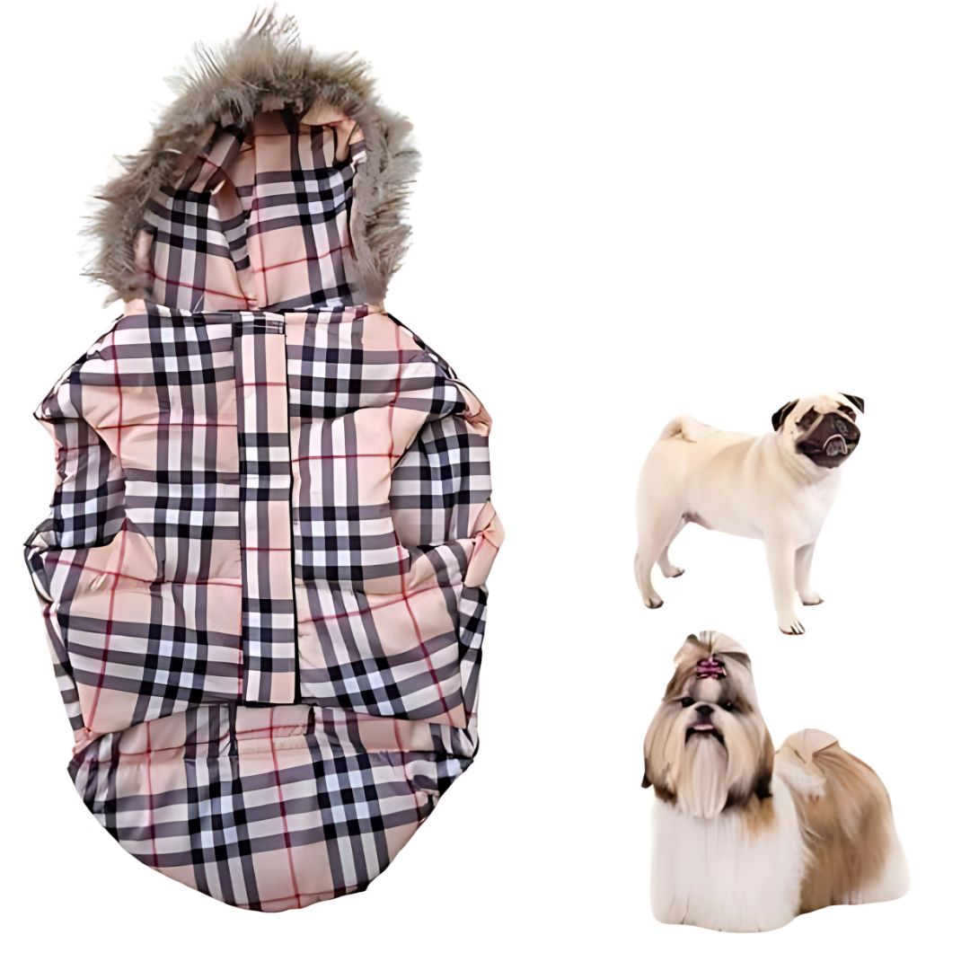 Buy Now: The Perfect Jackets and Coats to Keep Your Dog Snug