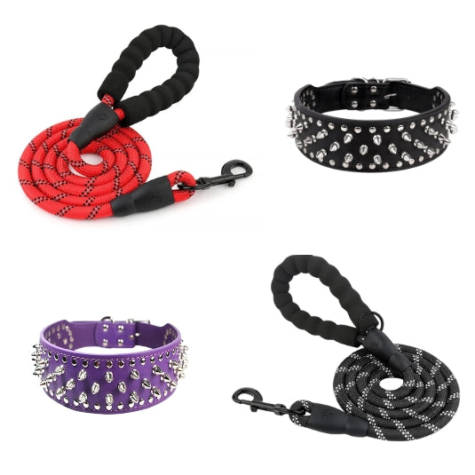Leash & Chains