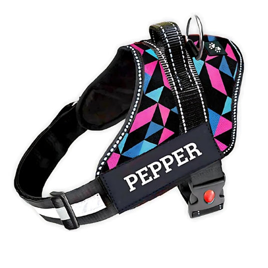 Harness