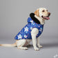 Premium Warm Dog Jacket – Winter-Ready Comfort (Blue Horse)