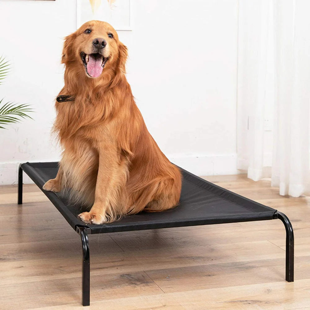 Fluffy's Waterproof elevated Sides Camping Bed for Dogs (Black) Full Size