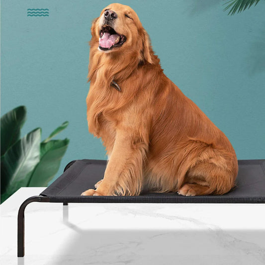 Fluffy's Waterproof elevated Sides Camping Bed for Dogs (Black) Full Size