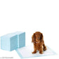 Disposable Pet Training Pads 60x40 cms Small Puppy Pee and Potty Pads with Quick Drying Surface & Absorbent Core, Suitable for Small/Medium/ Breed Pets, Dogs, Cats - Pack of 1, 10 pcs*